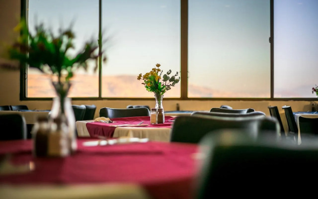 Daria - Authentic Israel Experience