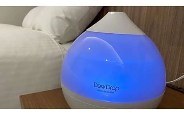 Papurika hotel desu - Vacation STAY 27548v