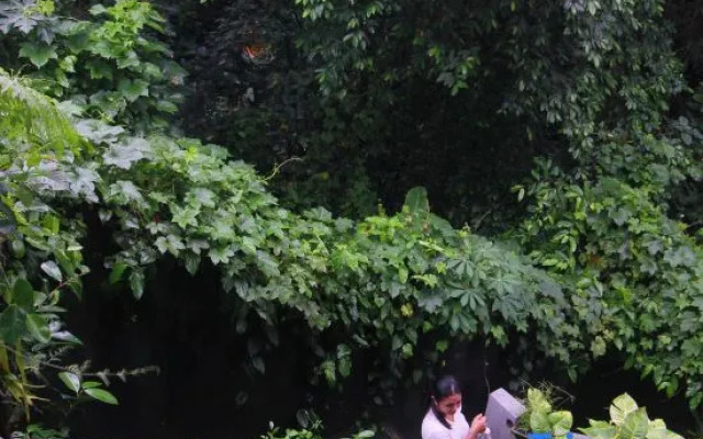 Sari Gong Guest House, A Trishula Collection