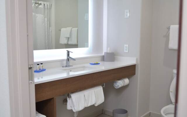 Holiday Inn Express Hotel & Suites Seguin