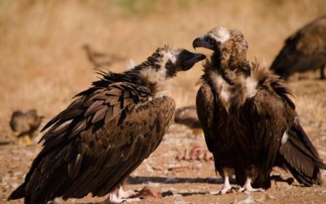 Casa Rural la Cañada