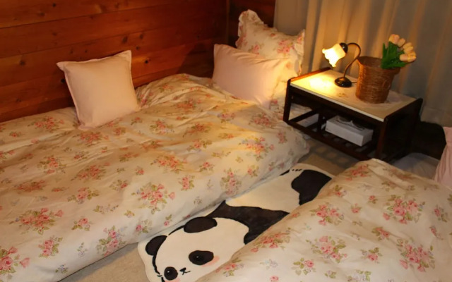 Pension Snowfall Meteor