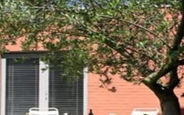 Midisud
