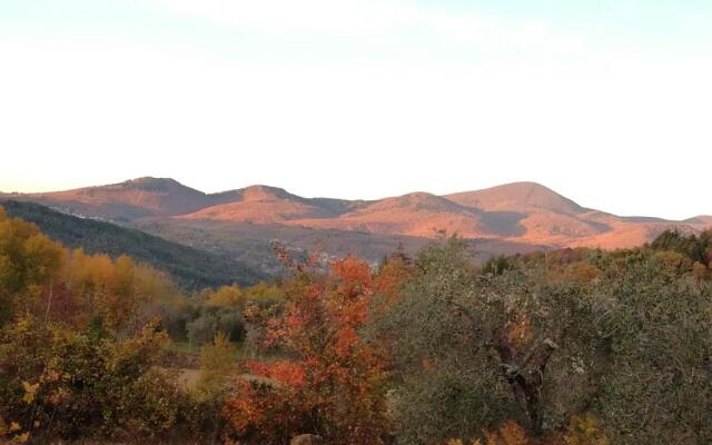 Podere di Maggio - Glamping tent 3
