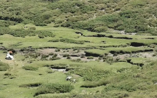 Résidence de Tourisme Mare é Macchia