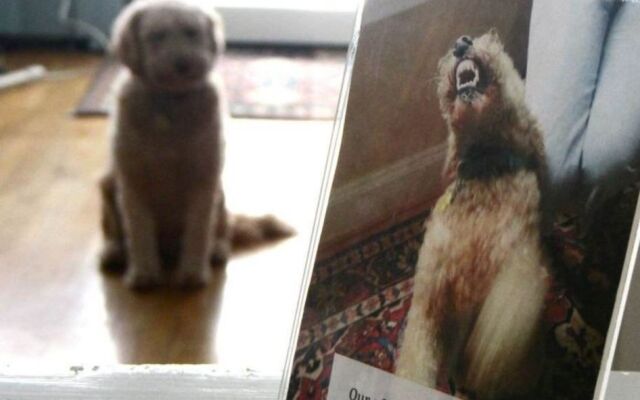 The Trumbull House Bed and Breakfast