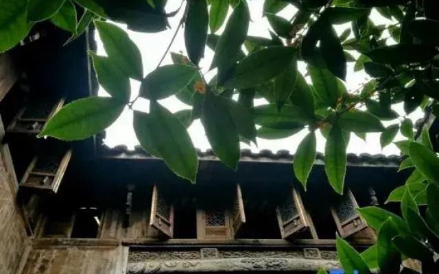 Tonglu Yetao Homestay