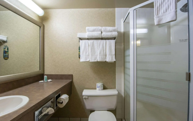 Comfort Inn & Suites Airport South