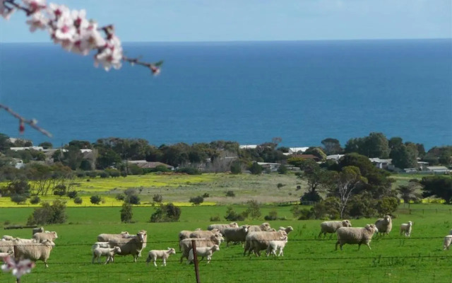 Whiteport by Wine Coast Holiday Rentals