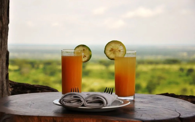 Kyambura Game Lodge