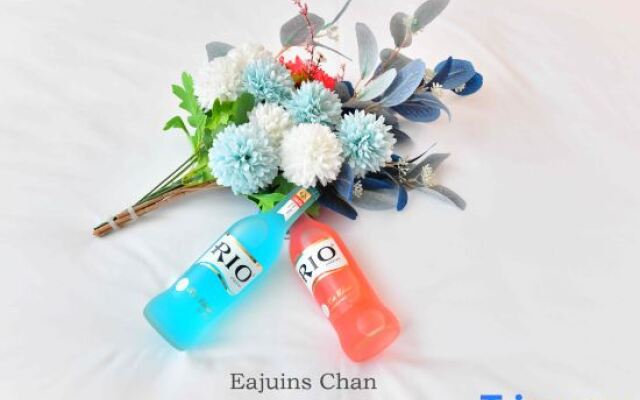 Meri Hotel (Taoyuan Subway Station)