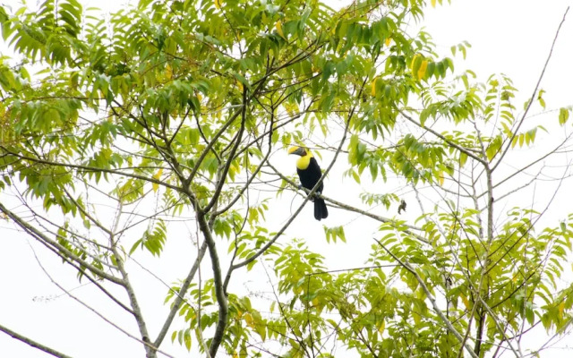 Hotel Casas Sol Sarapiqui