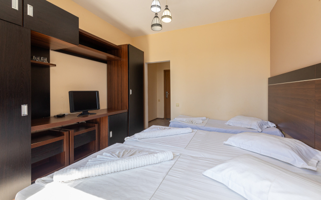 Hotel Pansionat Bagripsh