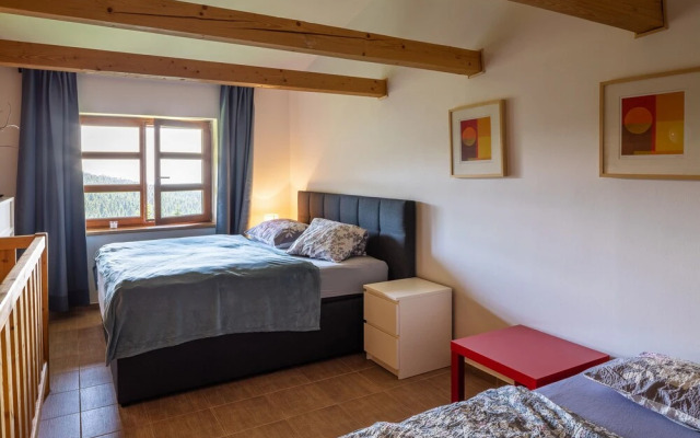 Cihlarka Mountain View Apartment