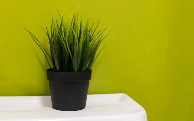 Stylish 2 Bedroom Apartment Near the City Centre