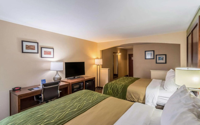 Comfort Inn & Suites Panama City North