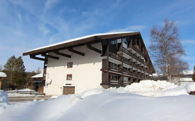 Birkenwald Seefeld in Tirol
