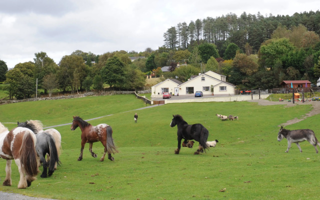 Muckross Riding Stables