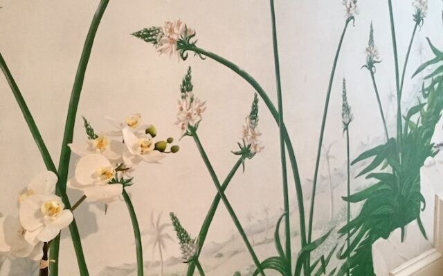 Fabulous Apt Historic House St Aubin