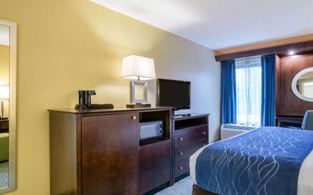 Comfort Inn & Suites Newark - Wilmington