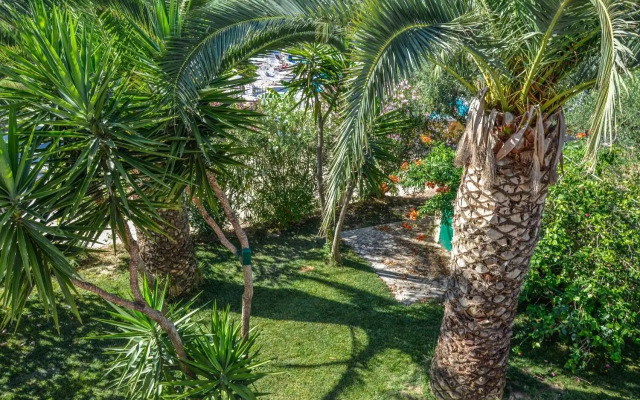 Olive Grove Apts