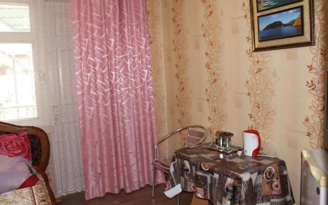 Guest House Gorkogo 60