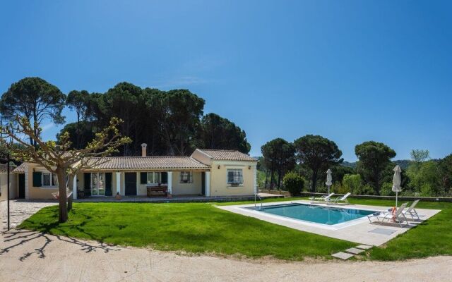 Villa Pine Forest