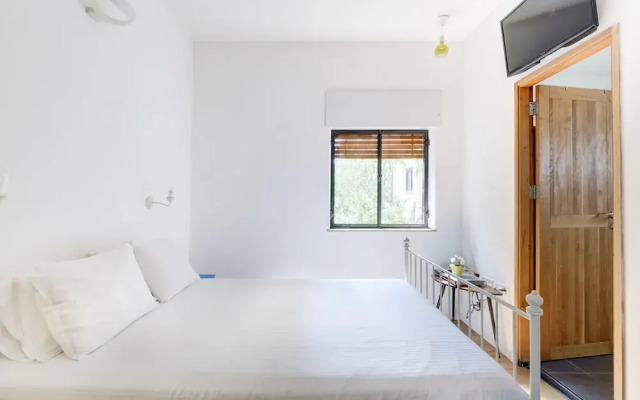 Diz 3 By TLV2rent