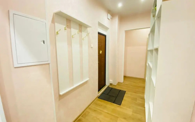Apartment Hanaka Vladimirskaya 9