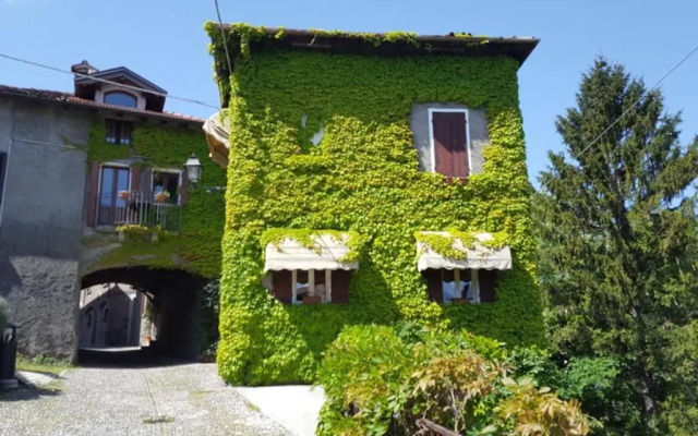 The Ivy House in the Castle