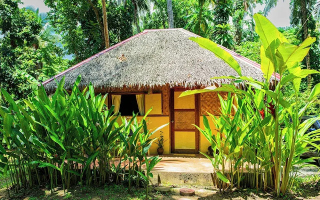 Water To Forest Ecolodge