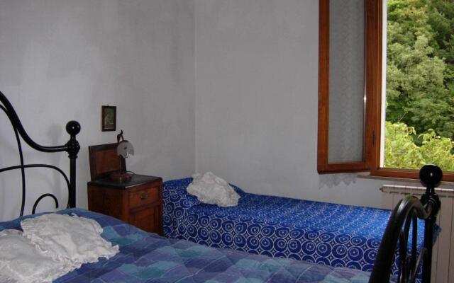 Il Pino Amiata