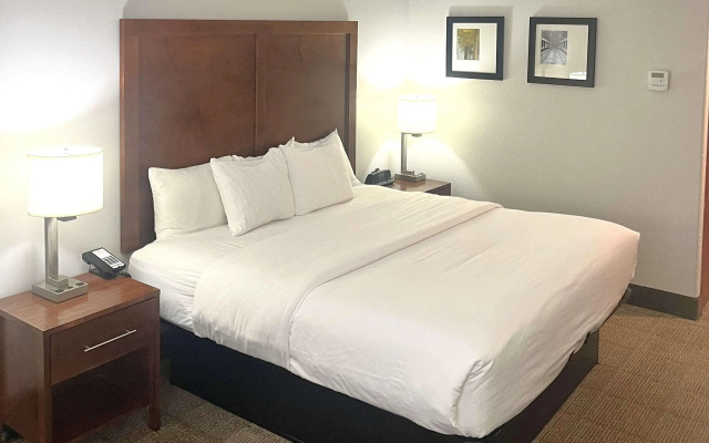 Comfort Inn & Suites Jackson North