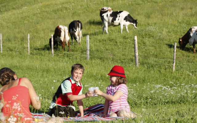 Bio Bauernhof Pension Oberlehenhof