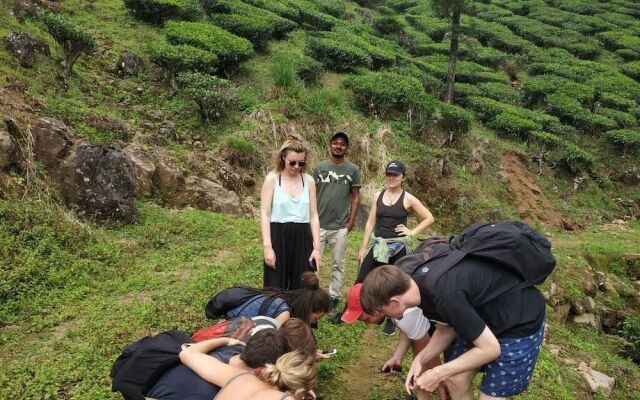 goSTOPS Munnar