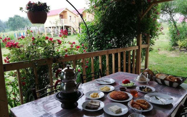 Pilav Dagi Yavuzyilmaz Tesisleri