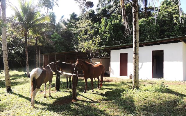 Itacaré EcoRanch