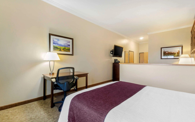 Best Western Plus Grapevine Inn