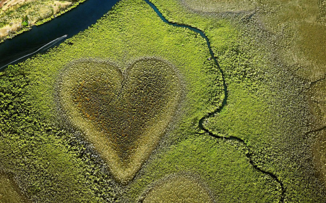 Le Méridien Ile des Pins