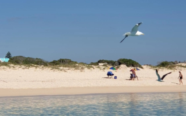Spring Tide on 28 Main Struisbaai