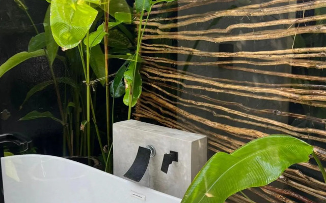 Casa en primera linea de playa con alberca