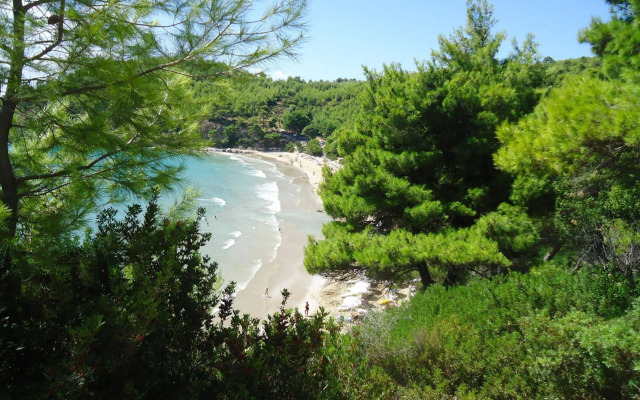 Alonissos Beach Bungalows & Suites Hotel