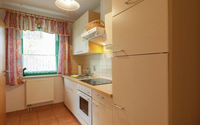 Modern Apartment in Reinhardtsdorf-Schona near Ski Slopes