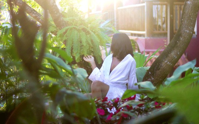 Paraíso Ecológico Pousada & SPA