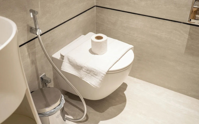 Czechin - Modern Studio JVC