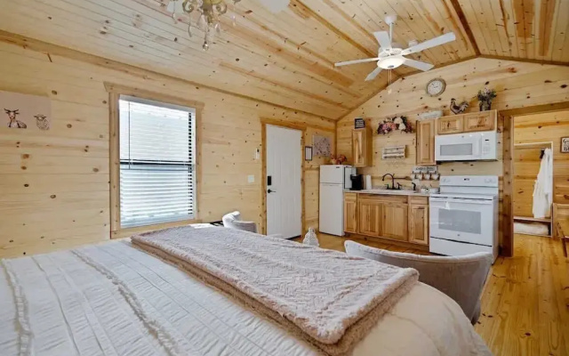 Fancy Cabin Right on Main St!