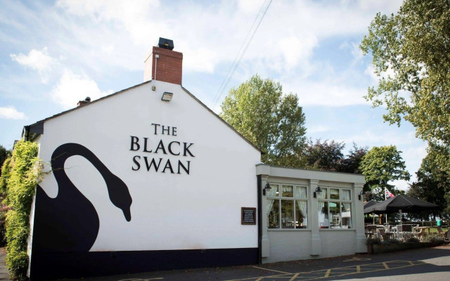 The Black Swan
