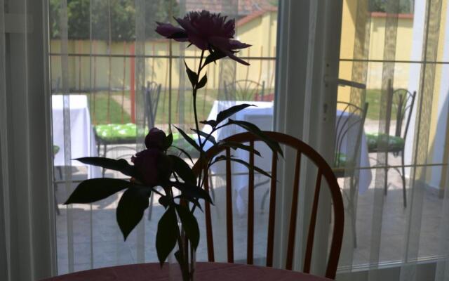 Kiskut Liget Pension