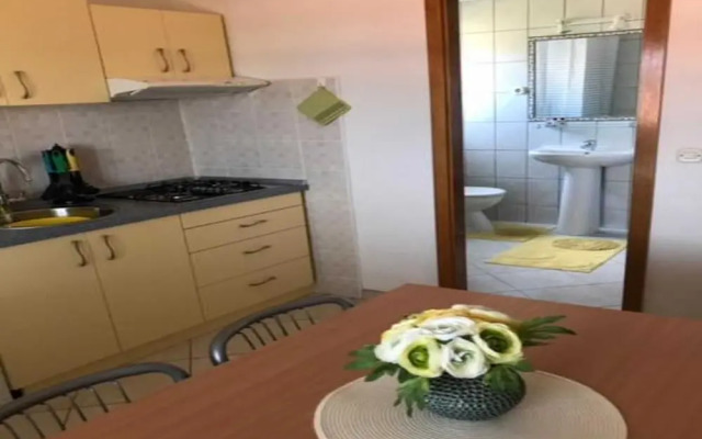 Apartments Paloc