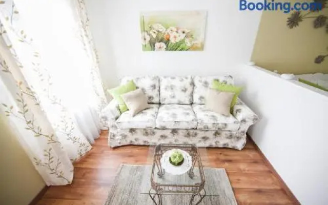 Traditional Apartments Vienna TAV - Entire